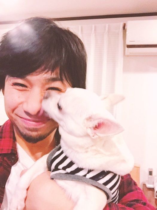 吉田山田・吉田さんと犬