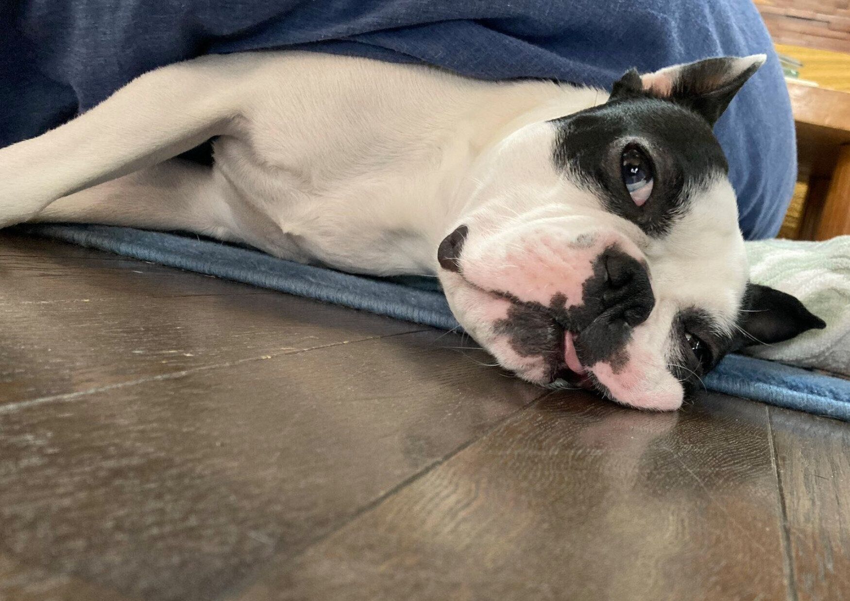 タルタルが可愛いりーちくん