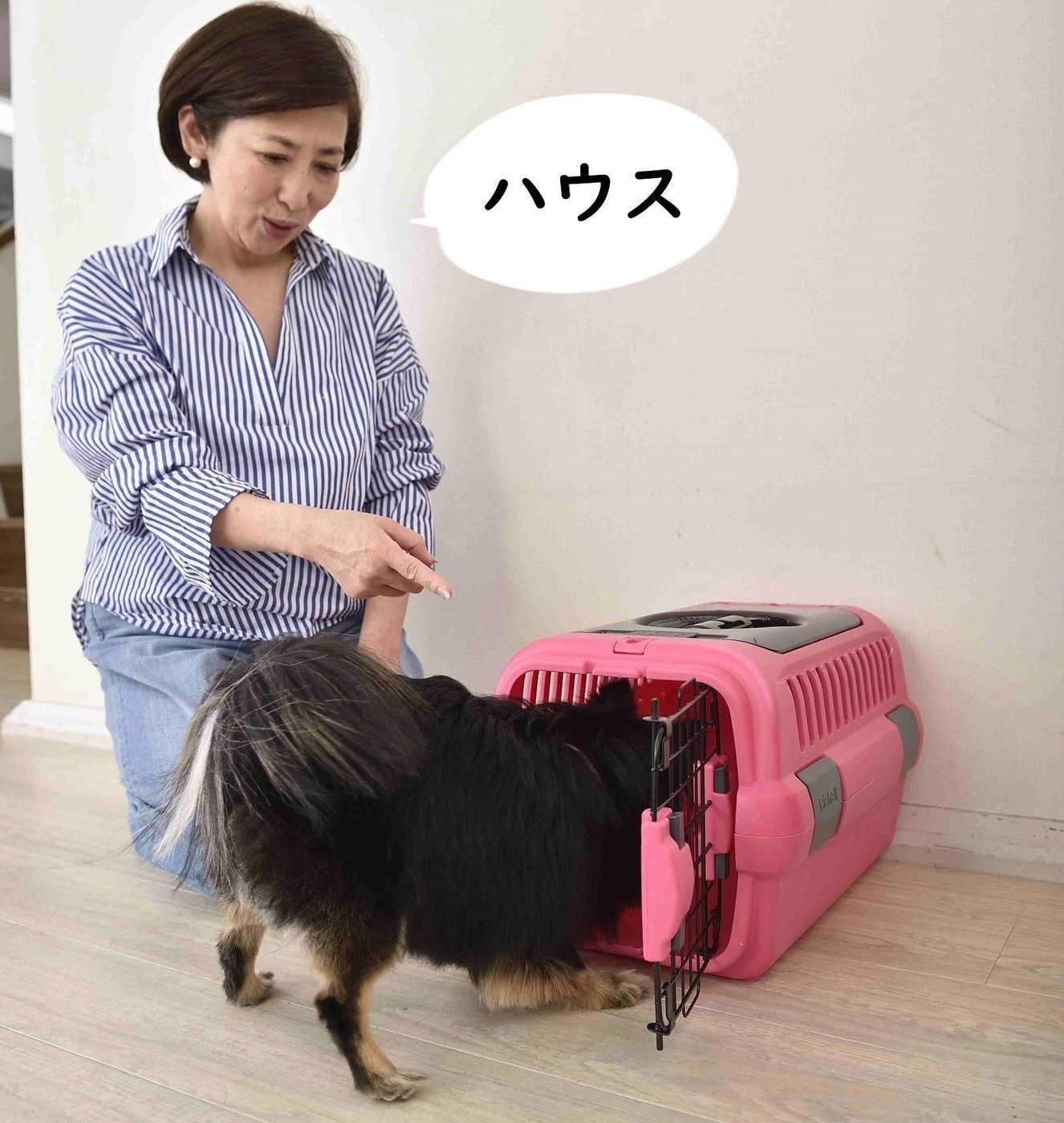来客の ピンポーン で吠える犬 意外と効くワザ3選 いぬのきもちweb Magazine 来客の ピンポーン で吠える犬 意外と効くワザ3選 いぬのきもちweb Magazine