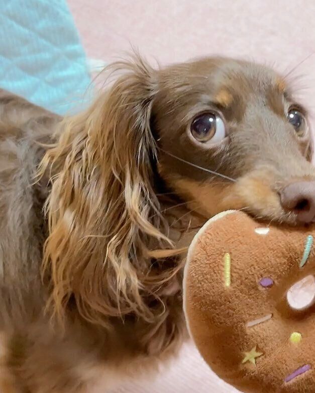 上目遣いのニーナちゃん