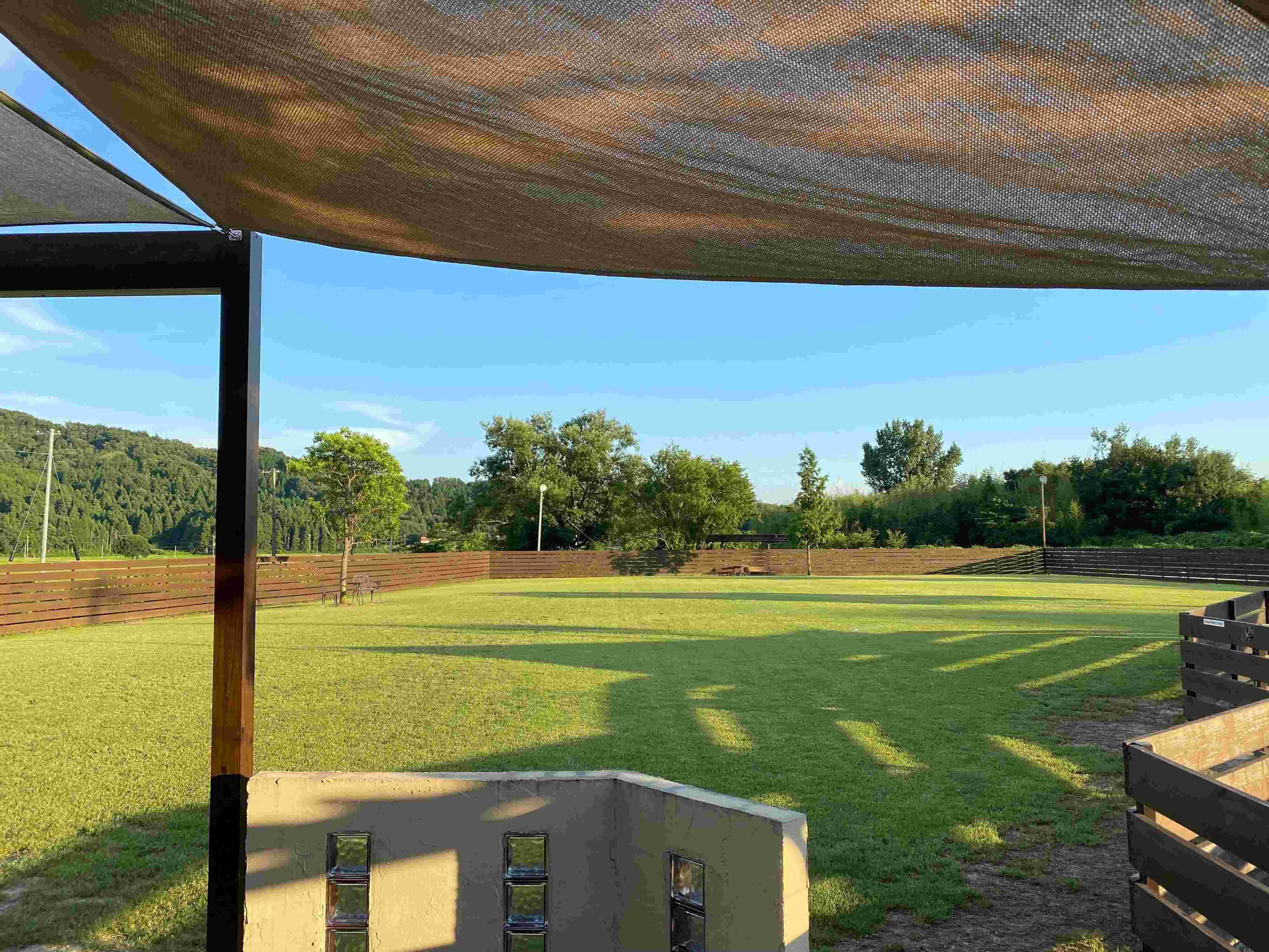 ドッグカフェから望む芝生が美しいドッグラン