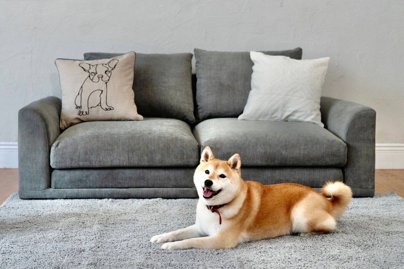 ニトリ  ペット家具 汚れ防止 傷防止