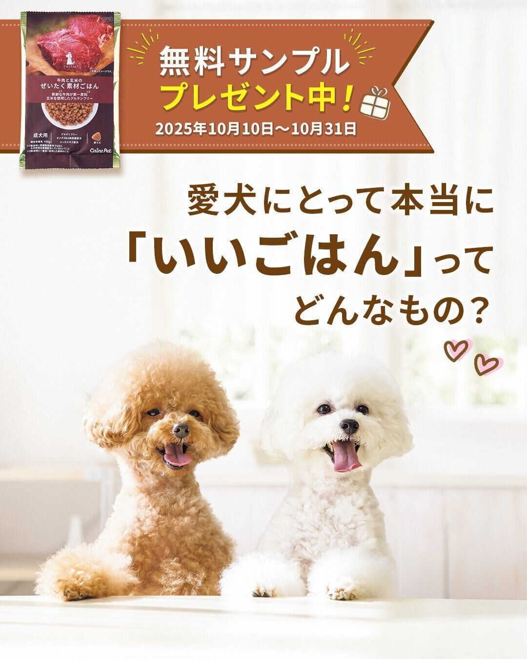 愛犬にとって本当に「いいごはん」ってどんなもの？