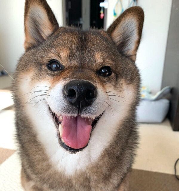 笑顔が可愛い花ちゃん