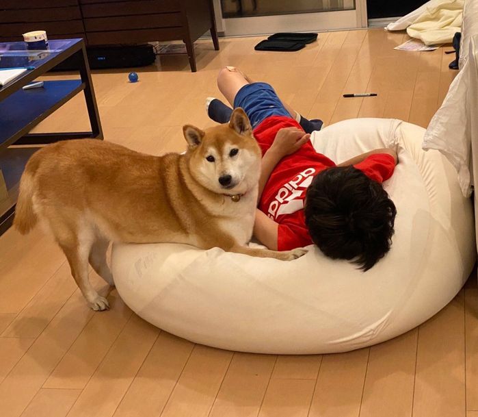 甥っ子にオヤツをおねだりするロコちゃん