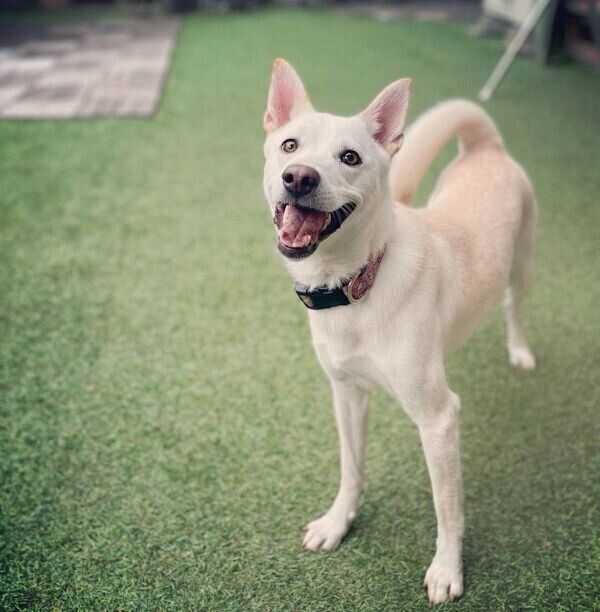 キラキラ笑顔が可愛いチルちゃん