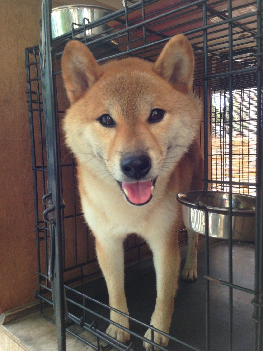 ありがとうお母さん！