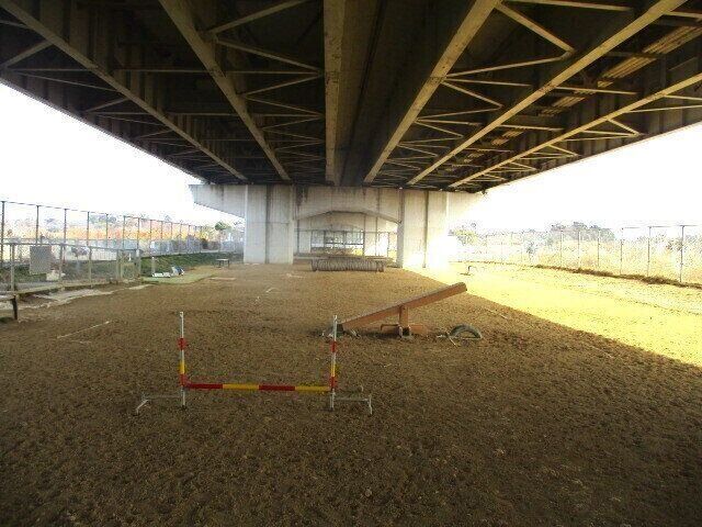 橋の下にあるドッグラン