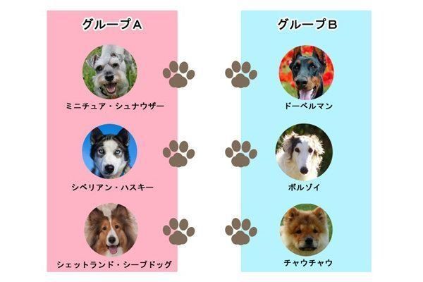 チャレンジしてみて 犬にまつわる科学クイズ いぬのきもちweb Magazine