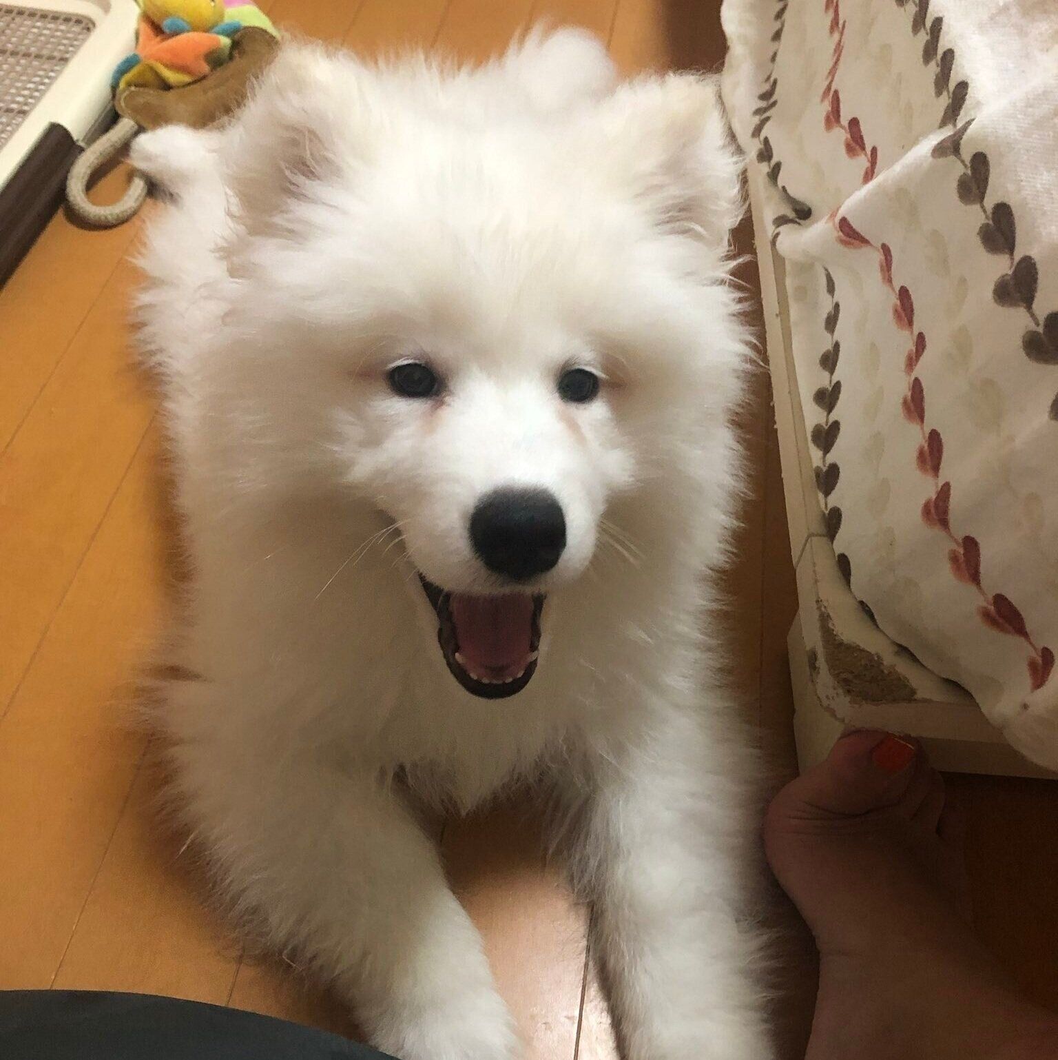 生後3カ月当時のはっくん