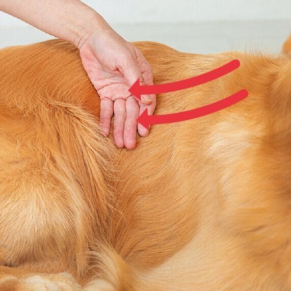 撮影／伊東武志