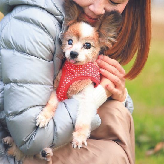 散歩の途中、松ケンくんの体が冷えていないか抱きしめてチェックするＴさん。今ではかけがえのない大切な家族に