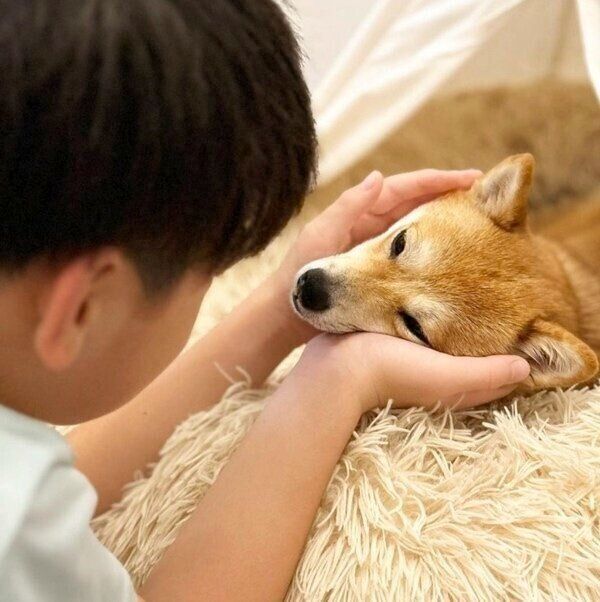 息子くんとまったりと遊ぶてんぷらちゃん