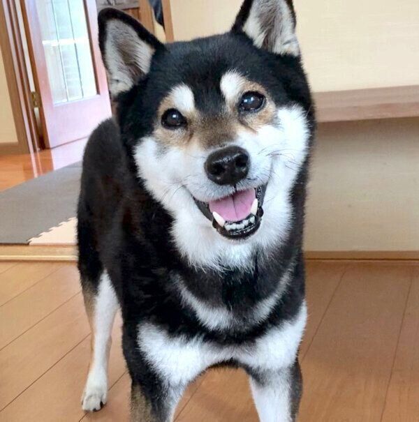 笑顔のとらくん