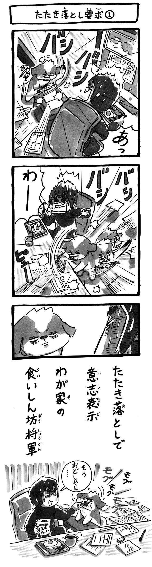 シーズー犬マンガてんぽshihtzu