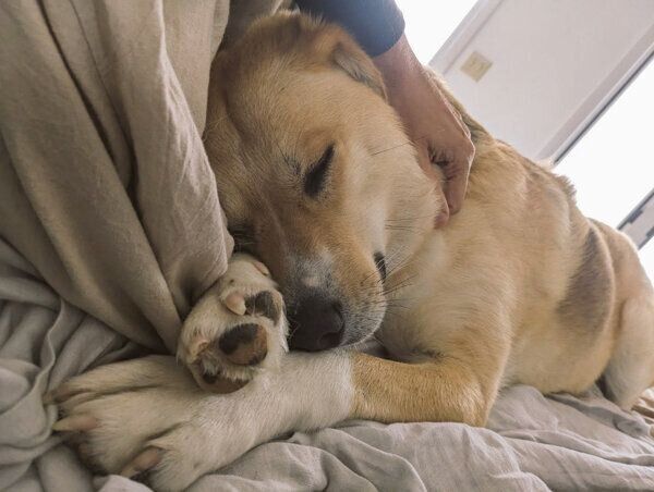 眠る幸子ちゃん