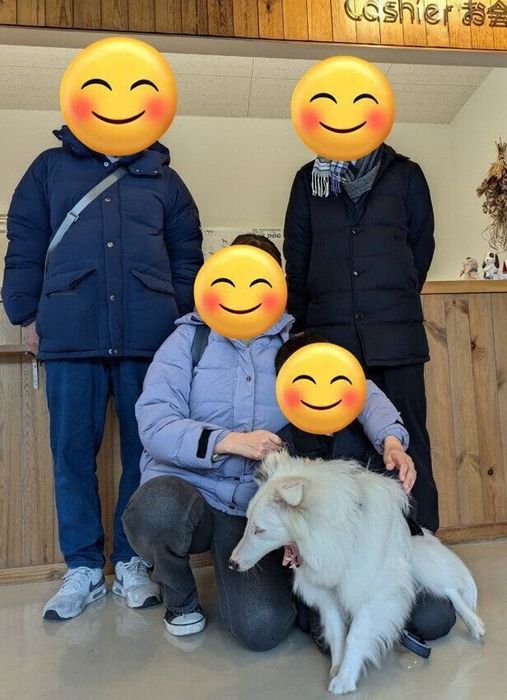 犬が正式に家族となったときに撮影した記念写真