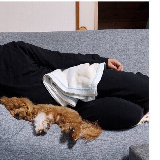 大好きなにぃににくっついて眠るもなかちゃん