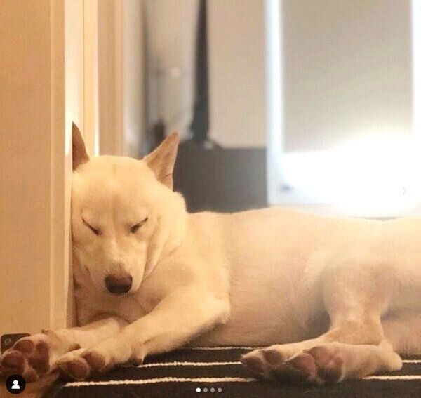 眠るつきちゃん