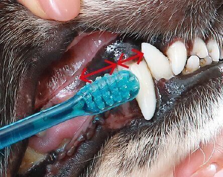 撮影／尾﨑たまき