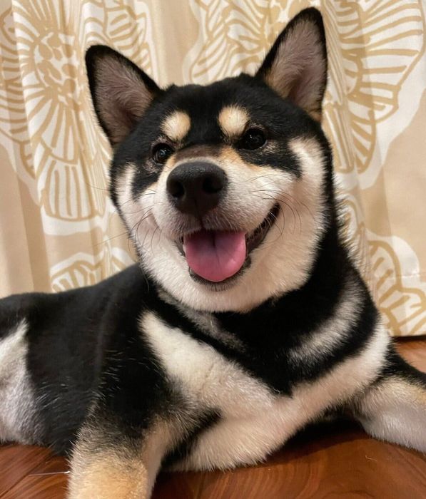 笑顔が可愛いおはぎちゃん