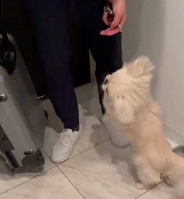 喜ぶモッチちゃん