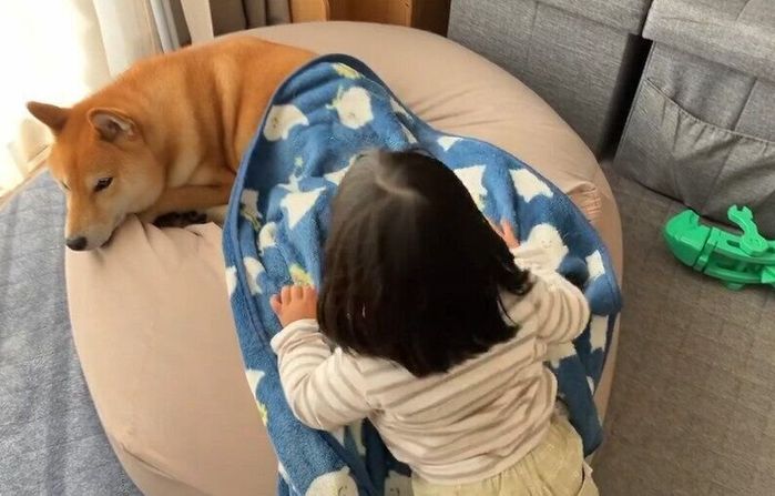 娘さんに布団をかけてもらうコマさん