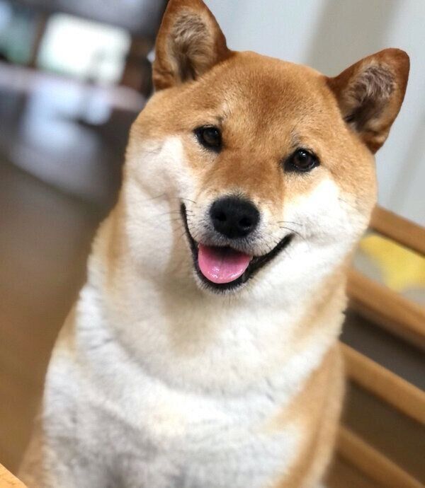 笑顔のあさむらさん