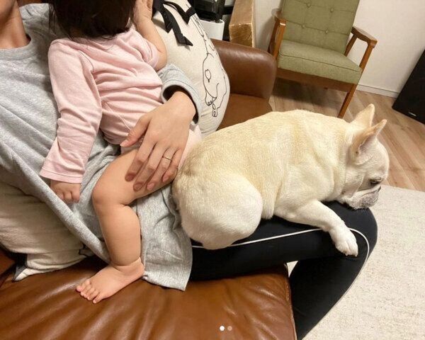 飼い主さんに甘えるひまわりちゃん