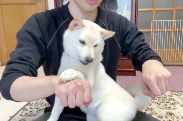 「おやつどっちだ!?」と遊ぶはるちゃん