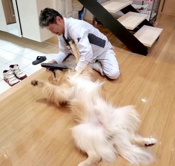 パパさんの帰宅を喜ぶアランくん