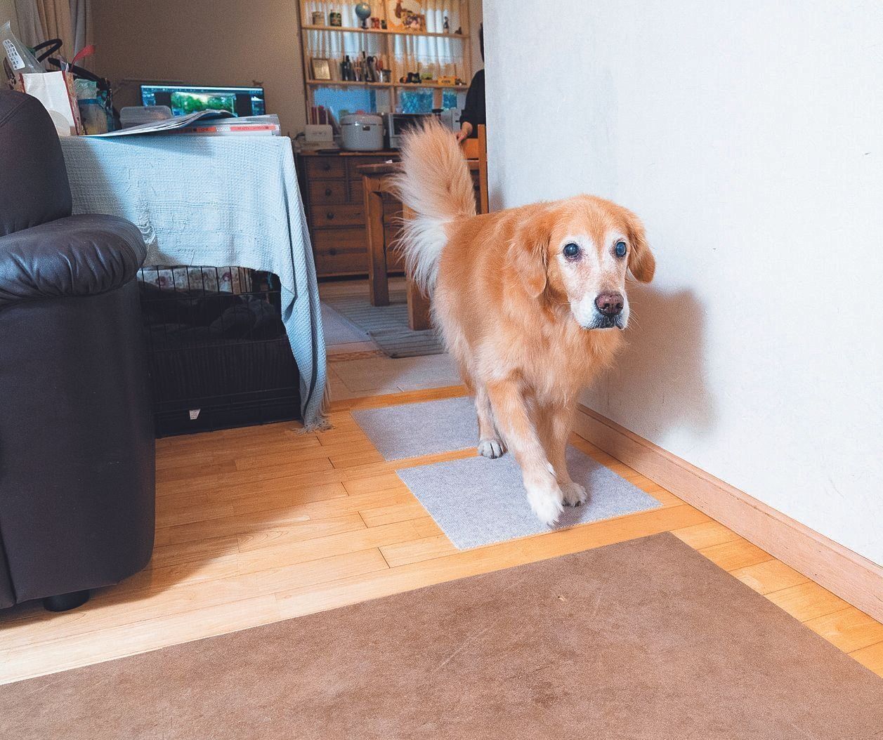 動線を変えない