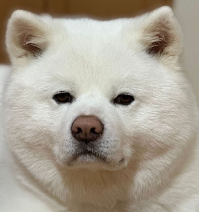 ガム待ちの海くん