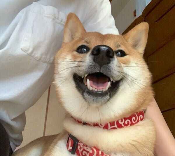 笑顔のみみちゃん