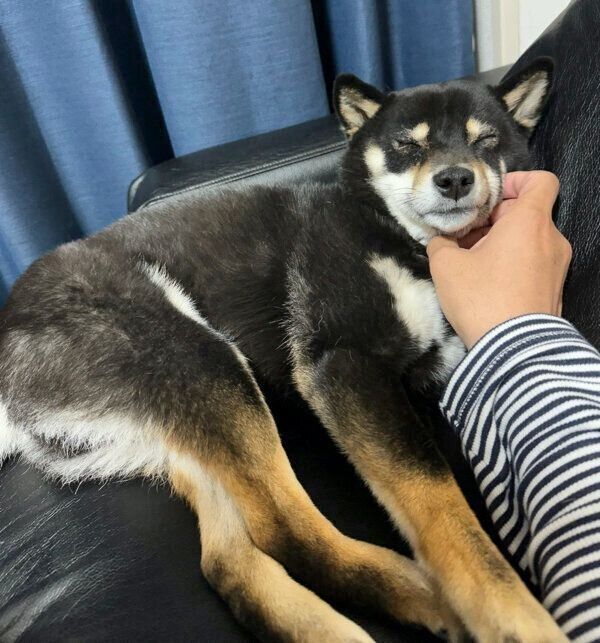 まったりする和凪ちゃん