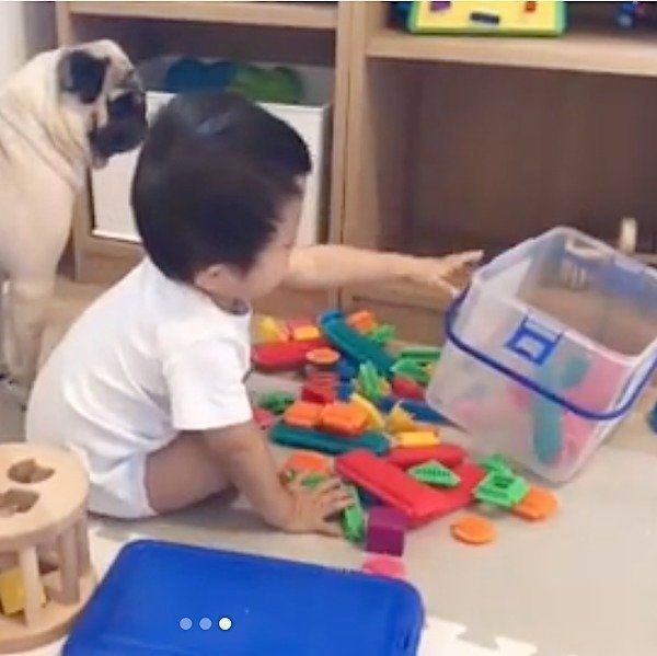 赤ちゃんと見守るパグ