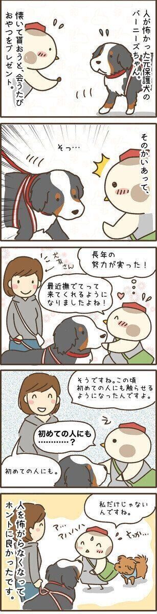 連載「こぐま犬てんすけ」