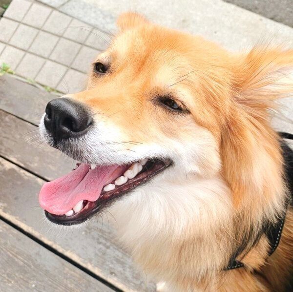 笑顔を見せるえまちゃん