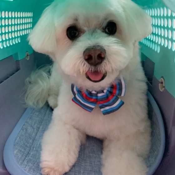 お利口だね〜。