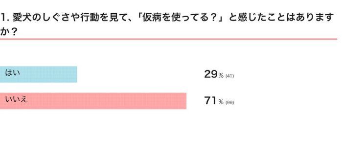 愛犬のしぐさや行動を見て、「仮病を使ってる?」と感じたことはありますか?