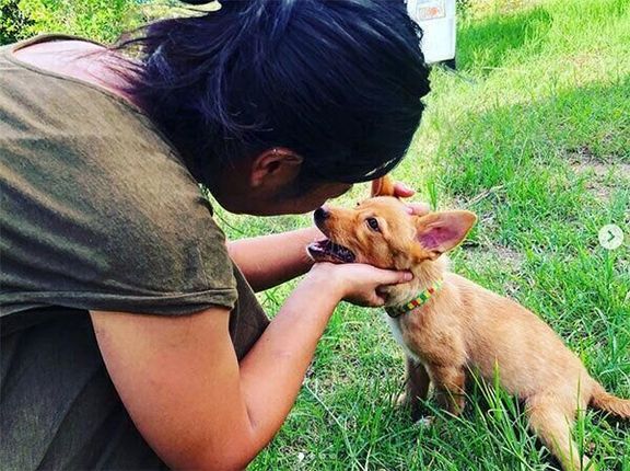 飼い主さんに出会ったばかりの頃のむぎちゃん