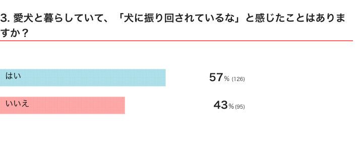 いぬのきもちWEB MAGAZINE　「犬飼いあるある」に関するアンケートvol.13