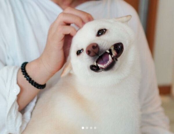 おばあちゃんのことが大好きなまめたちゃん