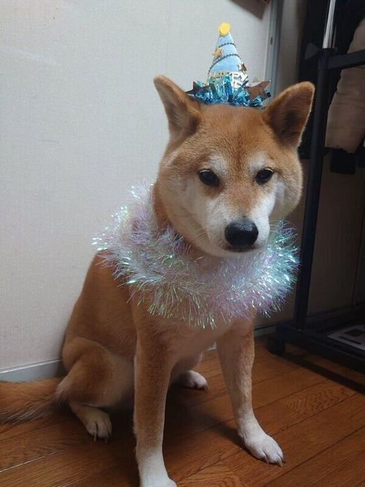 10才の誕生日を迎えたテツくん