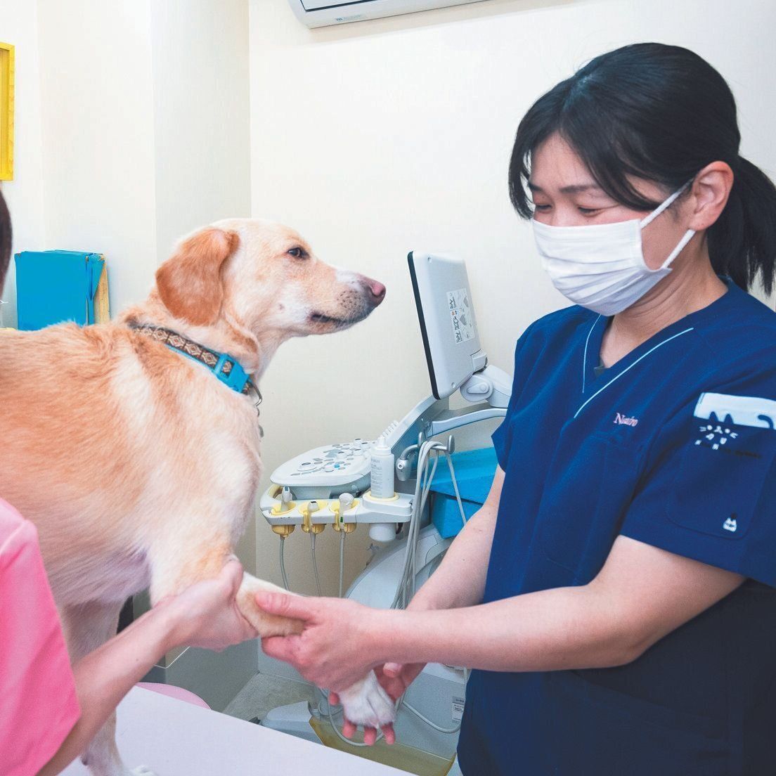 服部先生とコールくんは強い信頼関係で結ばれています。これからも看板犬として活躍して、力を合わせて保護犬たちの命を救ってほしいとのこと