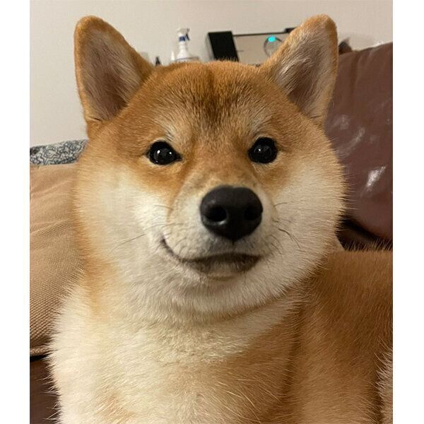 見つめるマヤちゃん