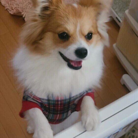 出待ちをしてくれるららちゃん