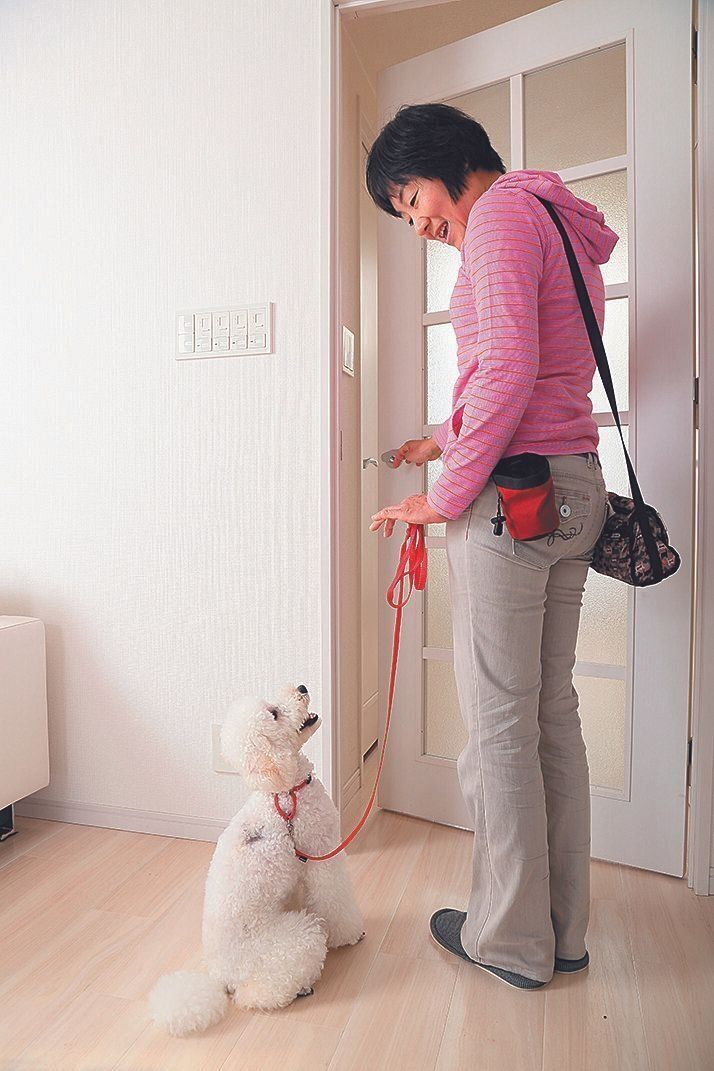 飛び出し事故防止のために、扉を開けるときはオスワリをさせましょう。まずは家の中で練習するのがおすすめ