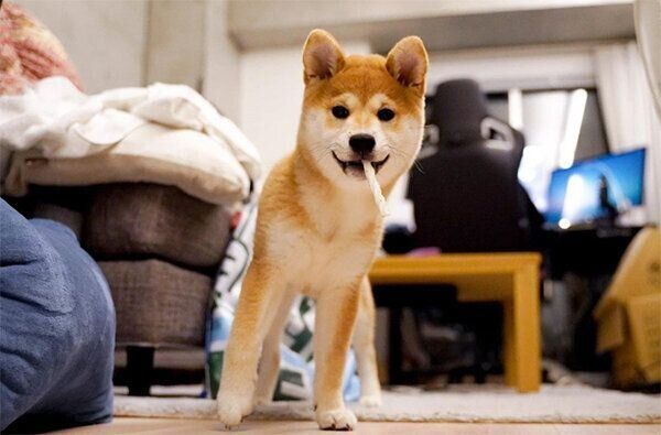 ガムをくわえる唯ちゃん