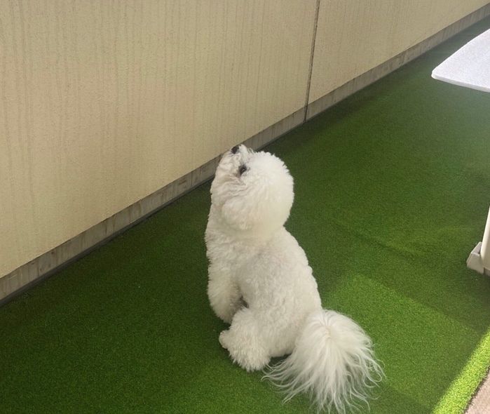 切なそうな横顔を見せるセトくん